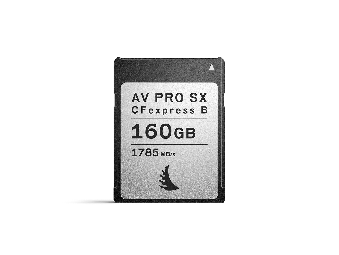 Angelbird 160 GB