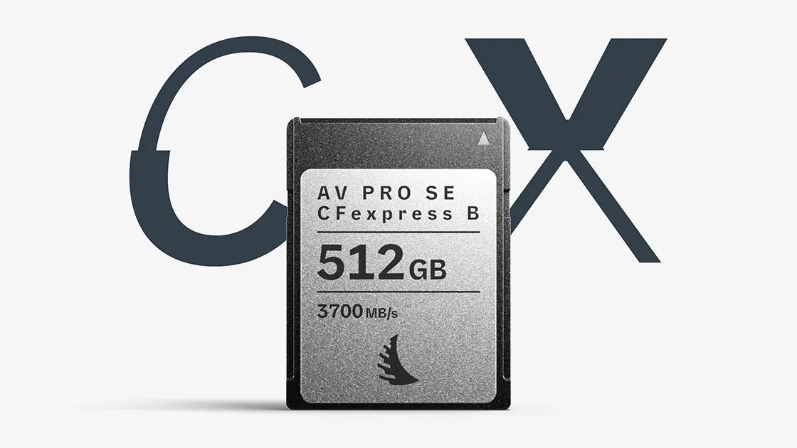 Angelbird 512 GB
