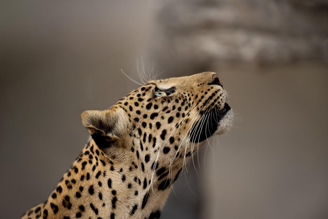 Botswana