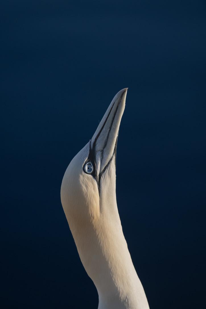 Oog voor detail
